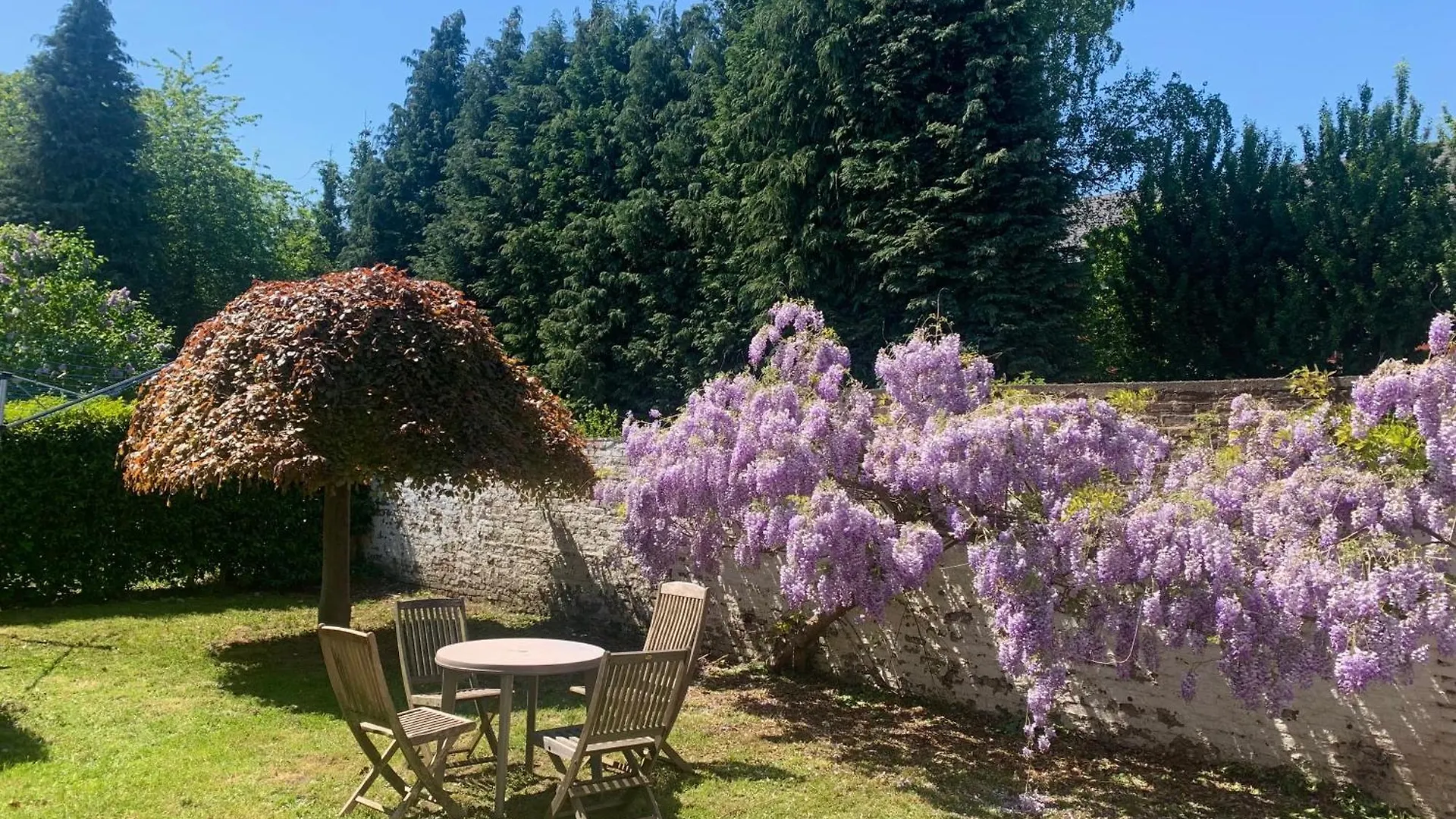 Bed & Breakfast Carpe Diem Jumet
